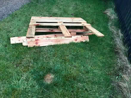 Photo of free Wooden pallet (Tring HP23 5DN) #1