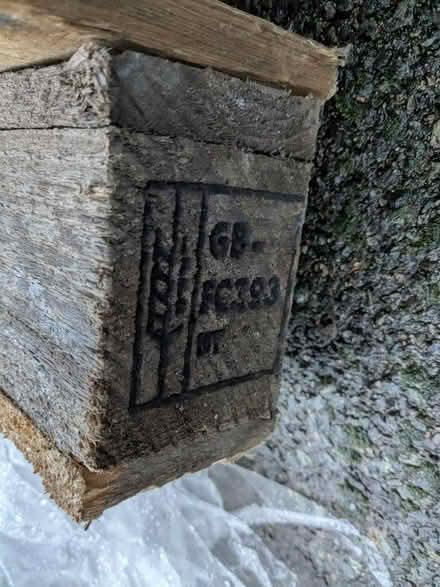 Photo of free Wooden pallet (Surbiton KT6) #3