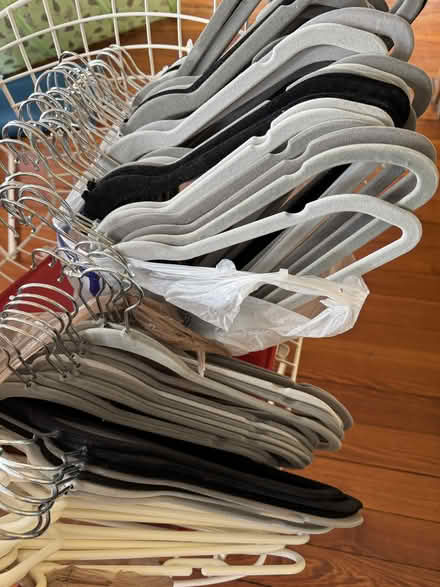 Photo of free 80+ clothes hangers (Bowling Green) #1