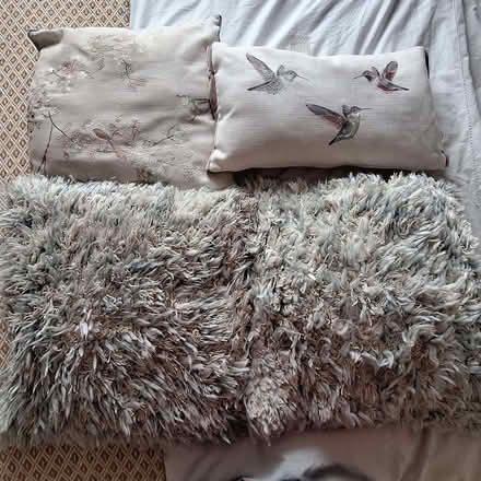 Photo of free Various Cushions (CT9) #2