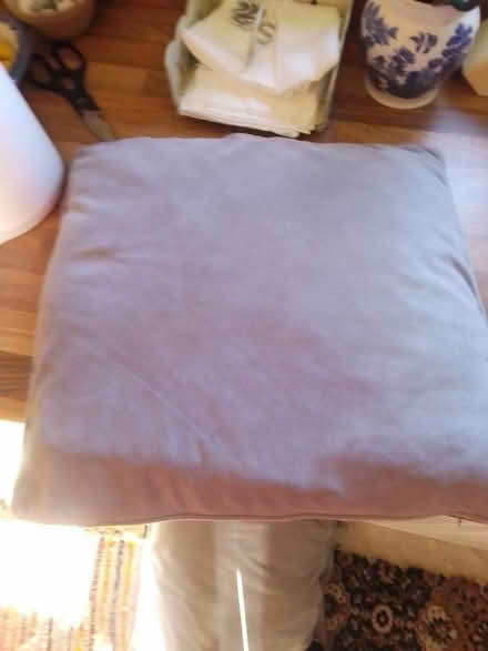 Photo of free Cushions (Killamarsh S21) #2