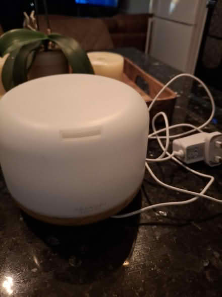 Photo of free Electric essential oil diffuser (Hastings TN34) #1