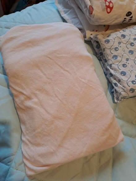 Photo of free Pink Fitted Sheet for Cot Bed (Gowkshill EH23) #1