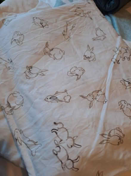 Photo of free IKEA Duvet And Pillow Case Set (Gowkshill EH23) #1