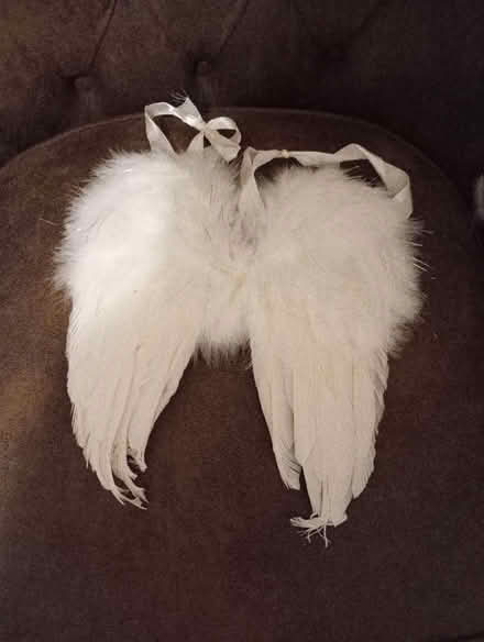 Photo of free Angel wings (Bolton le Sands LA5) #1