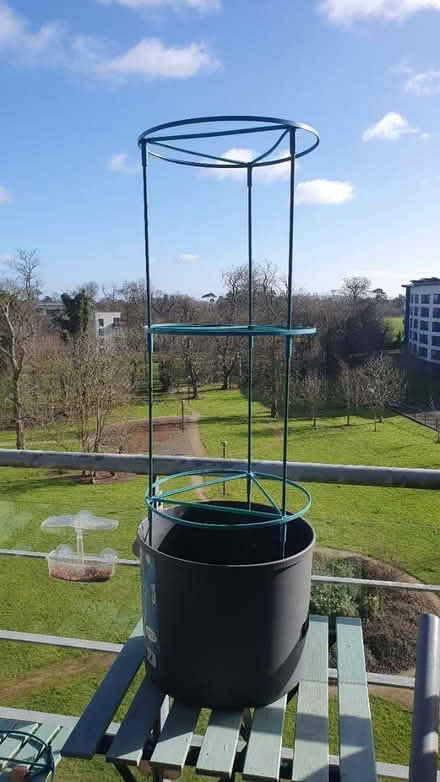 Photo of free 3 tier tomato planter (Santry) #1