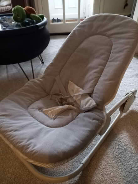 Photo of free Baby Rocker (East Grinstead) #1