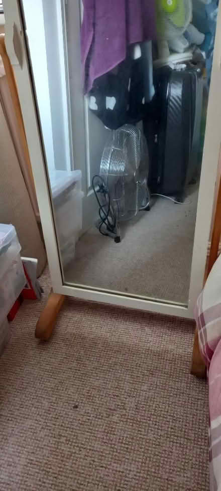 Photo of free Stand alone floor mirror (Market Deeping) #1