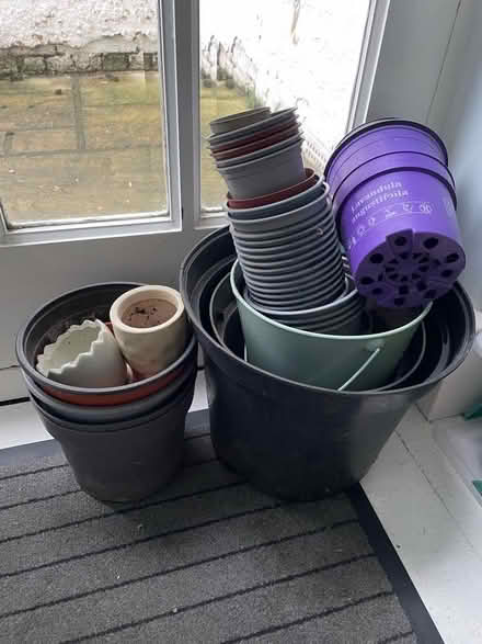 Photo of free Plant pots (Putney SW15) #1