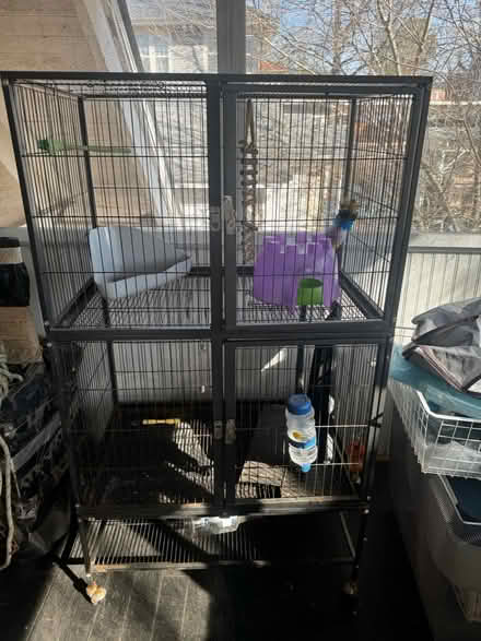 Photo of free Large small mammal cage (Hillcrest) #1