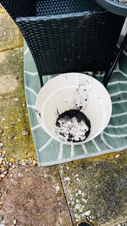 Photo of free Various sized pots (St Albans) #1