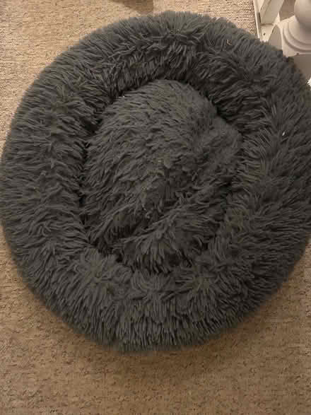 Photo of free Dog bed (Osney OX2) #1