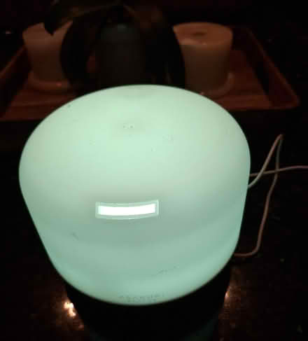 Photo of free Electric essential oil diffuser (Hastings TN34) #4