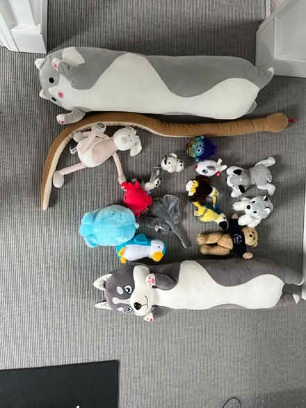 Photo of free Collection of children soft toys (TW9) #1