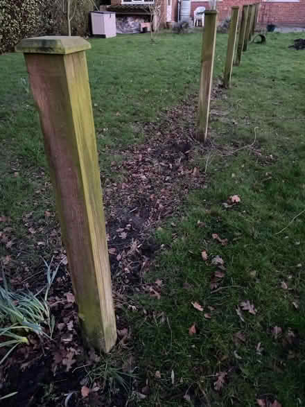 Photo of free 24m fencing (Aldborough NR11) #4