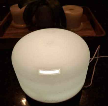 Photo of free Electric essential oil diffuser (Hastings TN34) #3