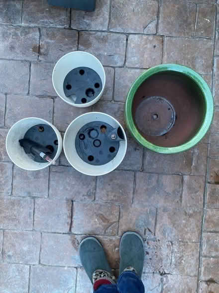 Photo of free 4 Plantpots (Whitefield M45) #2