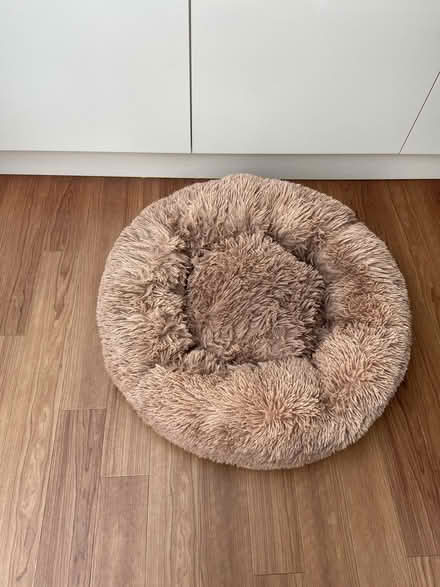 Photo of free Dog bed (Loose, Maidstone ME15) #3