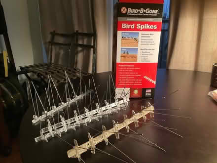 Photo of free Spikes to keep birds away (Will leave in front foyer) #1