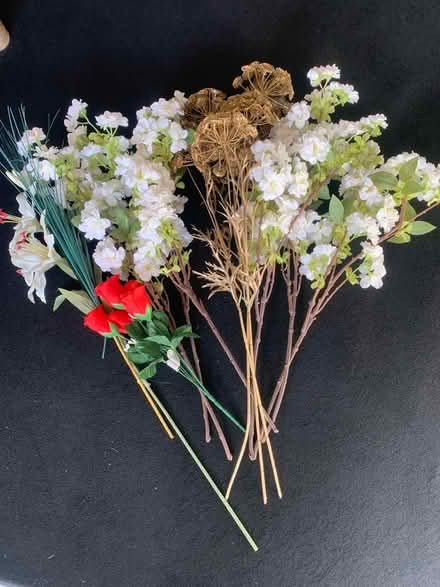 Photo of free Artificial flowers (Packsaddle BA11) #1