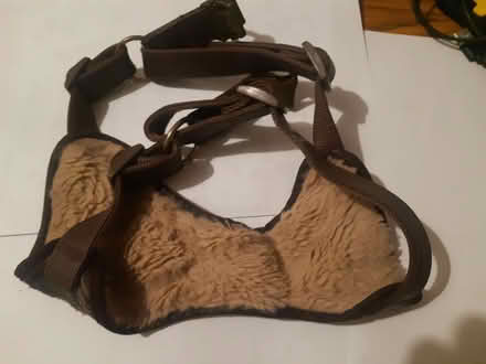 Photo of free Dog harness (West End LA3) #1