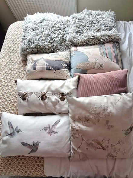 Photo of free Various Cushions (CT9) #1