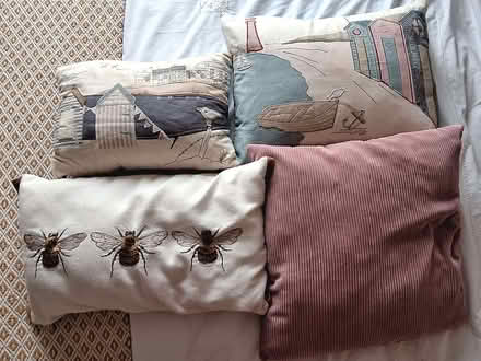 Photo of free Various Cushions (CT9) #3