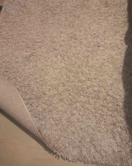 Photo of free Rug (Woodston) #1