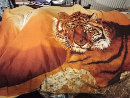 Photo of free Tiger throw, blanket (Dyke Road area BN1) #1
