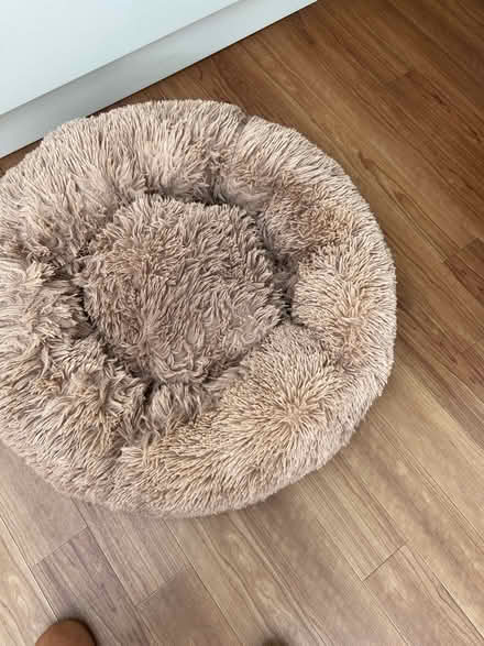 Photo of free Dog bed (Loose, Maidstone ME15) #4