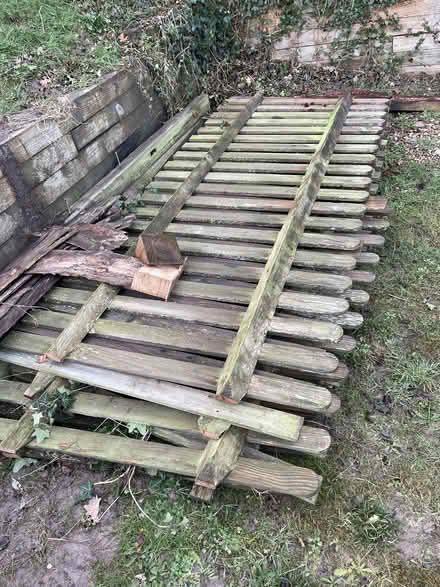 Photo of free Fence Panels (Fairlight TN35) #1