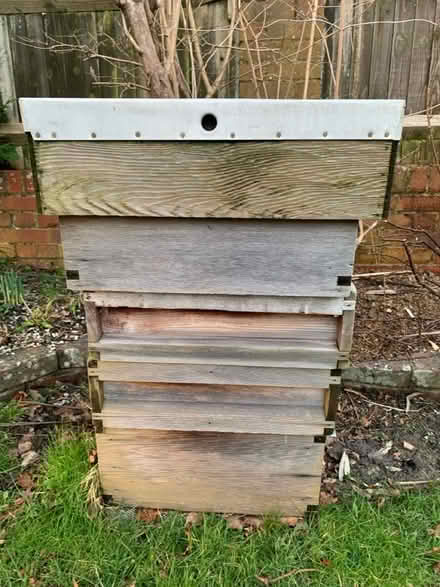 Photo of free Beehive (Burgess Hill) #1