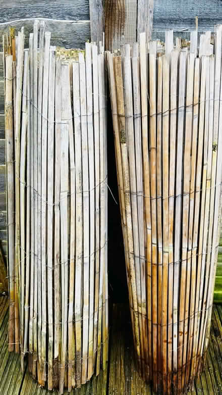 Photo of free 4m L x 1m high bamboo slat screen (St Albans) #1