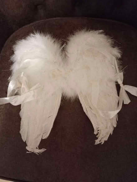 Photo of free Angel wings (Bolton le Sands LA5) #2