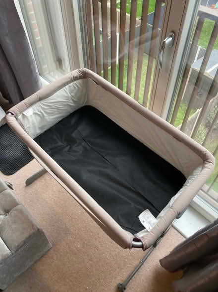 Photo of free Single Chicco Cot (Ponders End EN3) #2