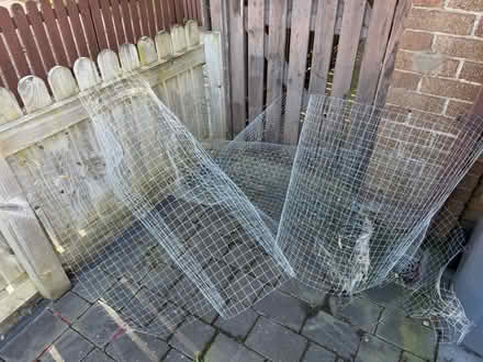 Photo of free Around 5 meters of mesh (Prenton) #1