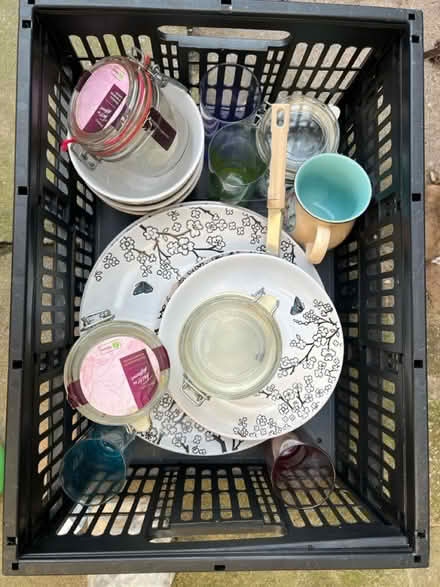 Photo of free Plates and stuff (Hatfield AL10) #1