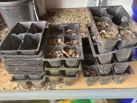 Photo of free seed starting trays (1015 Davids Drive, Aston, PA) #1