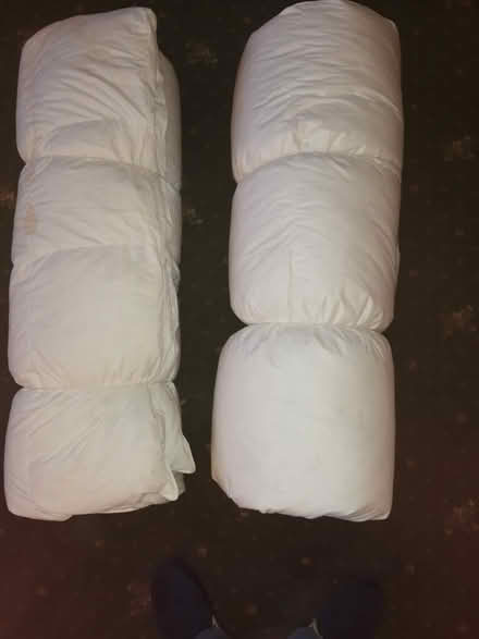 Photo of free Two quilts (chingford) #1