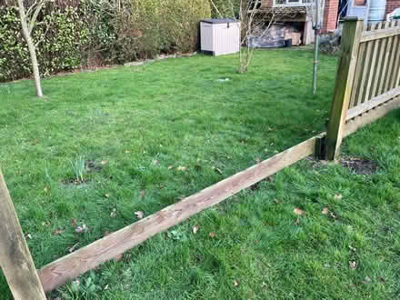 Photo of free 24m fencing (Aldborough NR11) #3