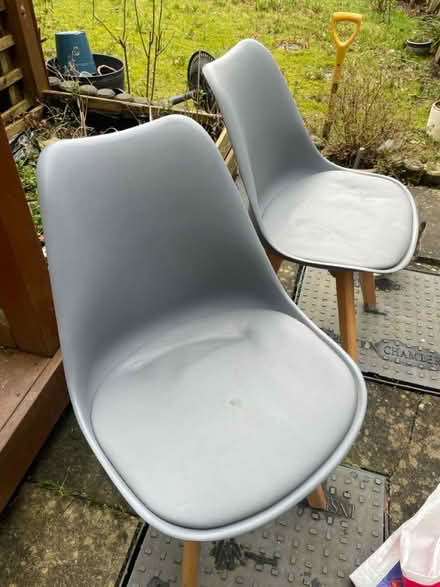 Photo of free 4 chairs (TN2) #1