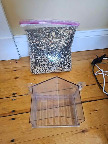 Photo of free window mounted bird feeder and food (Inman Square) #1