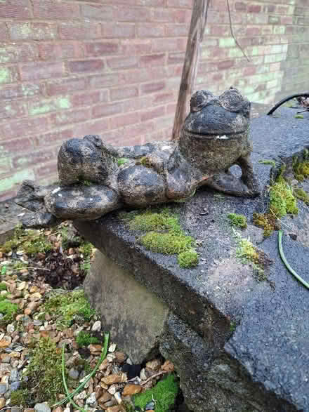Photo of free Garden frog statue (Watton at Stone SG14) #1