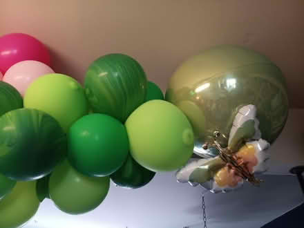 Photo of free Pink/Green 10 foot balloon arch (20879) #2