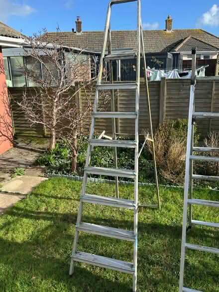 Photo of free Step ladder tall (Brixham TQ5) #1