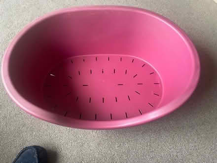 Photo of free Medium Dog Bed (CT10) #1