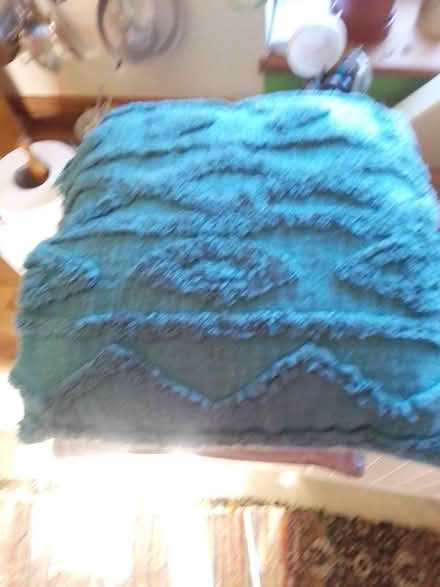 Photo of free Cushions (Killamarsh S21) #4