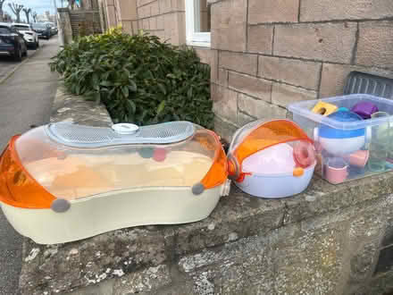 Photo of free Hamster cage and accessories (Elgin IV30) #2