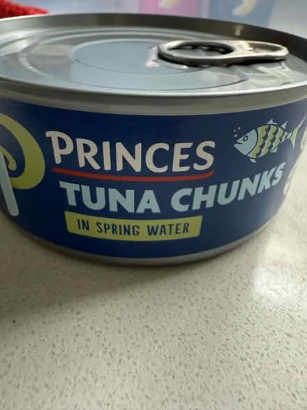 Photo of free Tuna Chunks BBE Sep.23 Ok for pet? (Chipping Barnet EN5) #1