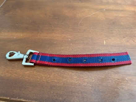 Photo of free horse blanket clip (Freedom and Drake) #1